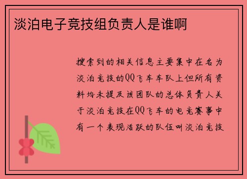 淡泊电子竞技组负责人是谁啊