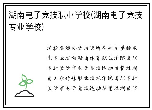 湖南电子竞技职业学校(湖南电子竞技专业学校)