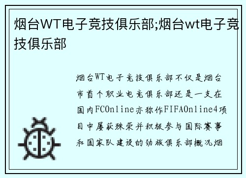 烟台WT电子竞技俱乐部;烟台wt电子竞技俱乐部