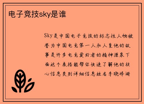 电子竞技sky是谁